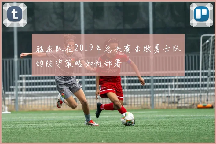 猛龙队在2019年总决赛击败勇士队的防守策略如何部署