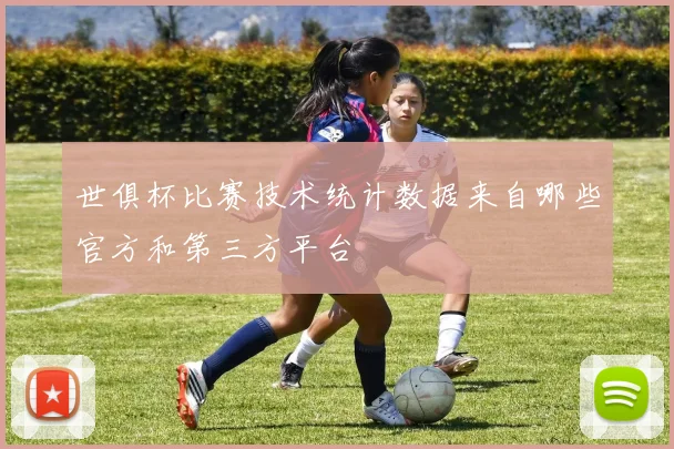 世俱杯比赛技术统计数据来自哪些官方和第三方平台
