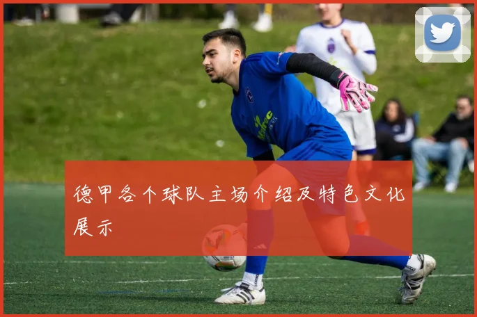 德甲各个球队主场介绍及特色文化展示