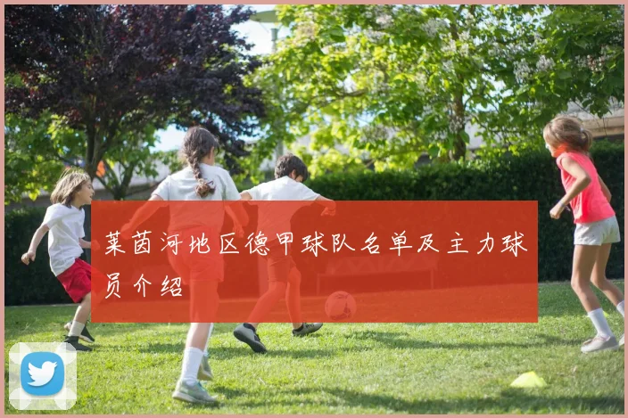 莱茵河地区德甲球队名单及主力球员介绍