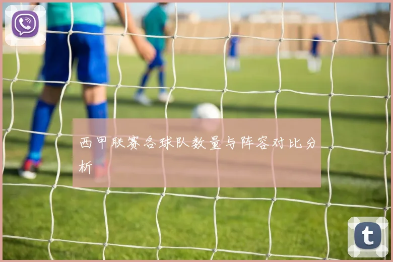 西甲联赛各球队数量与阵容对比分析